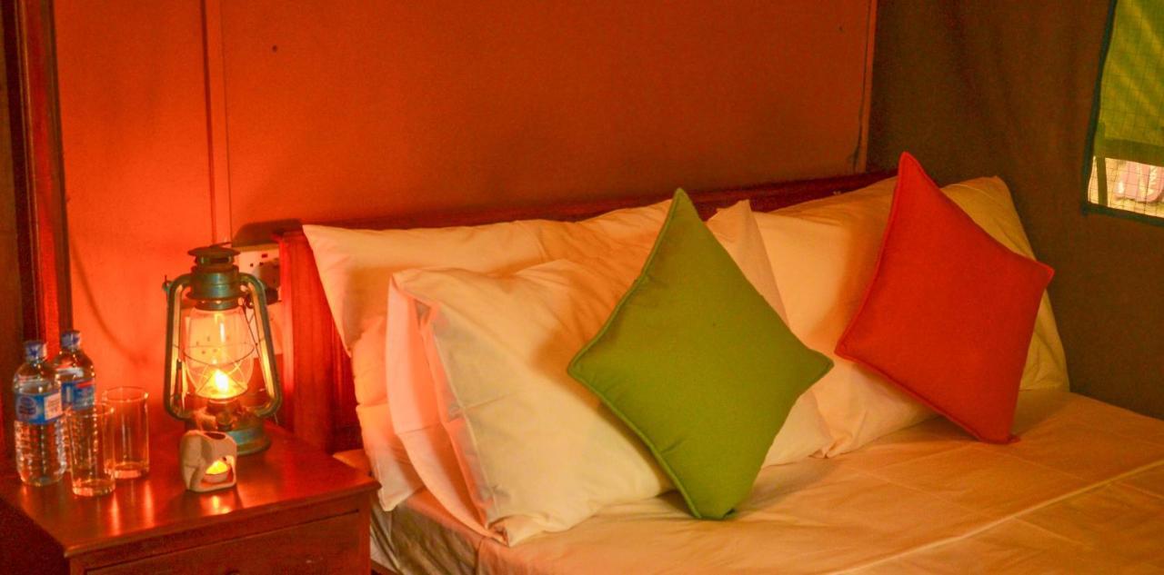 Camp Leopard - Yala Safari Glamping Hotel Ngoại thất bức ảnh