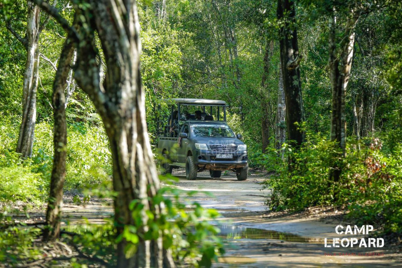 Camp Leopard - Yala Safari Glamping Hotel Ngoại thất bức ảnh