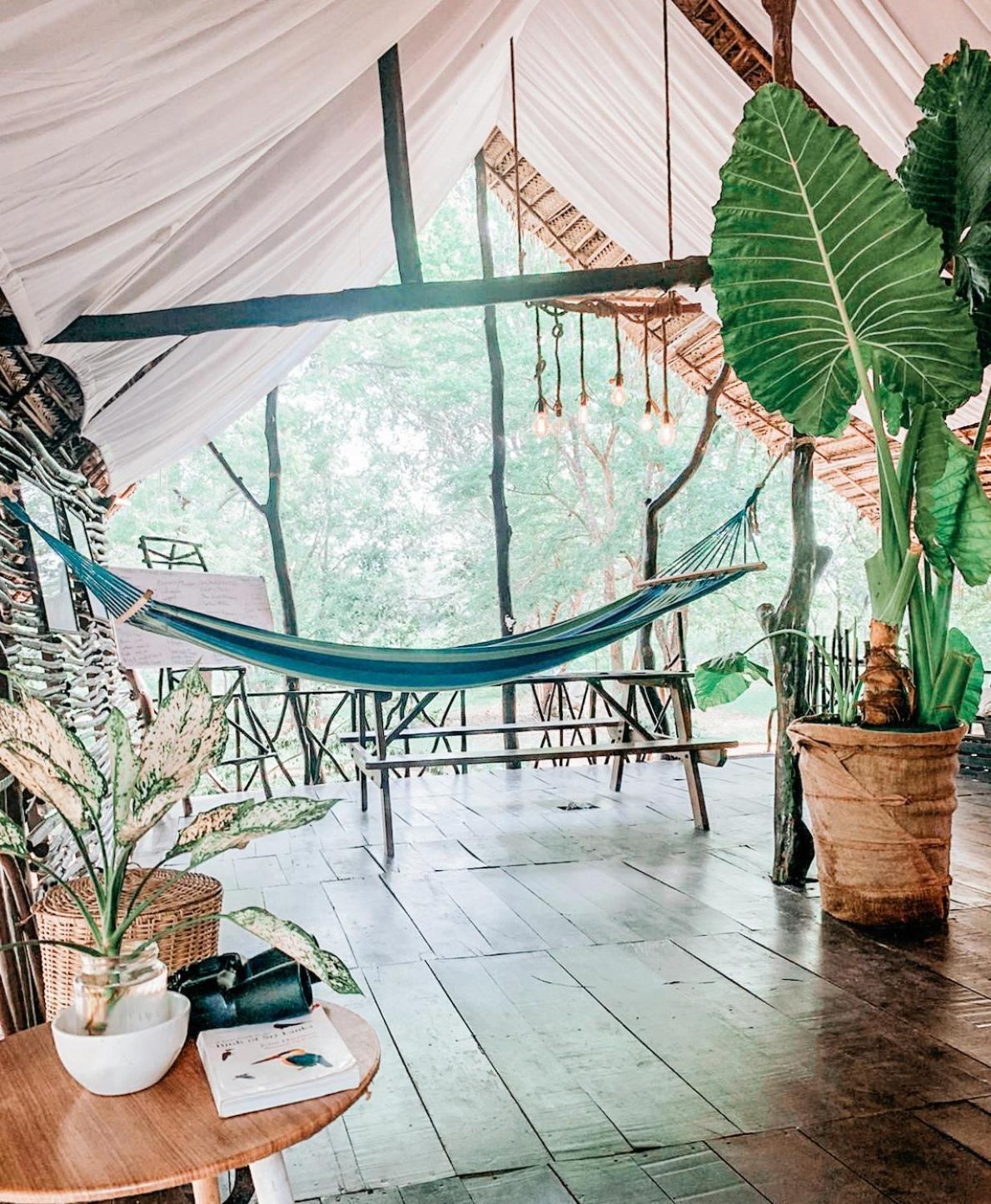 Camp Leopard - Yala Safari Glamping Hotel Ngoại thất bức ảnh
