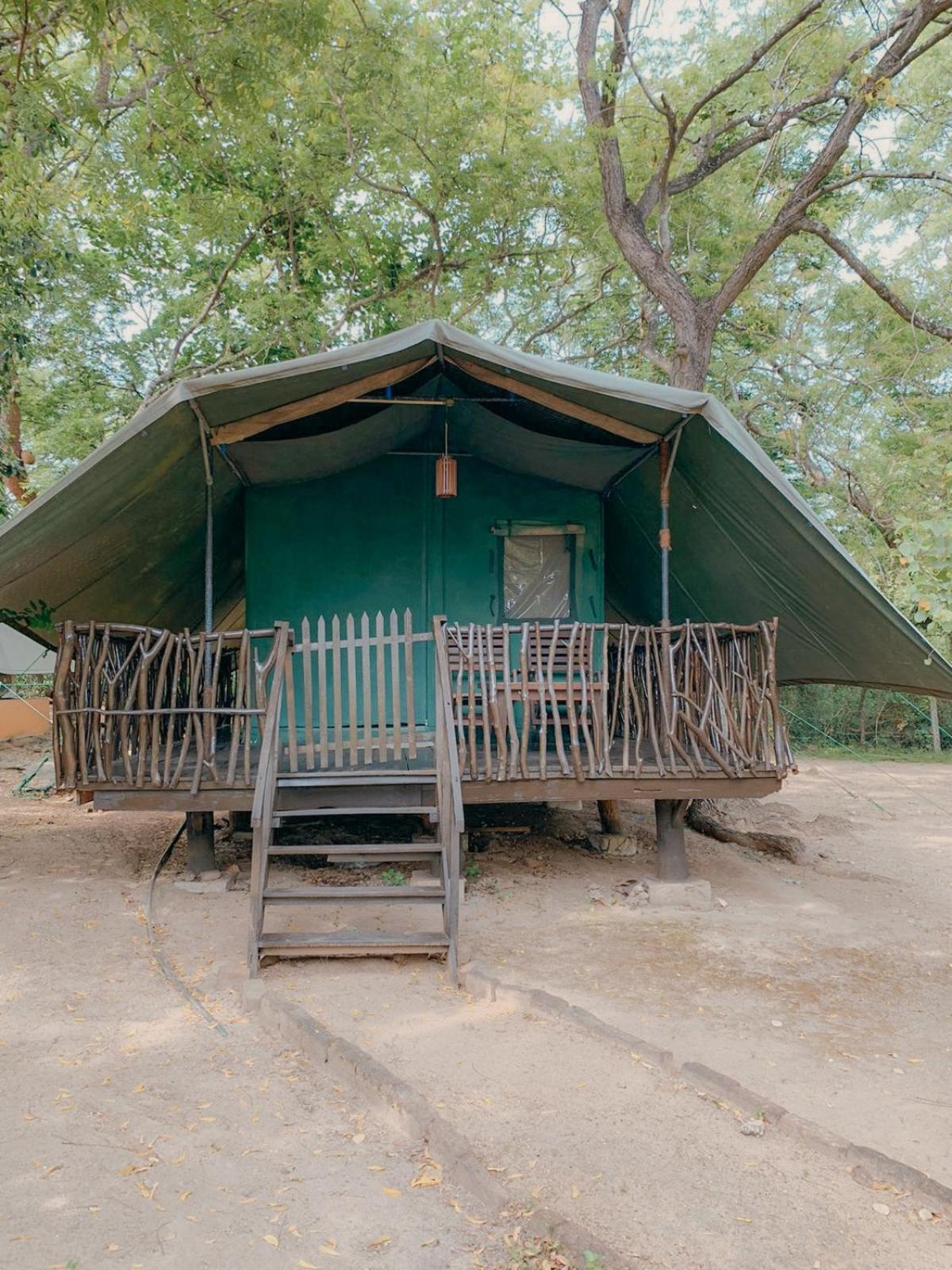 Camp Leopard - Yala Safari Glamping Hotel Ngoại thất bức ảnh