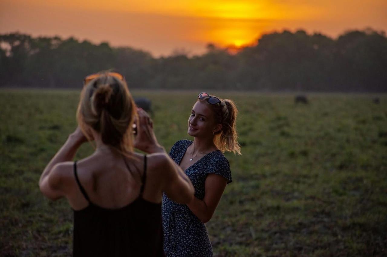 Camp Leopard - Yala Safari Glamping Hotel Ngoại thất bức ảnh
