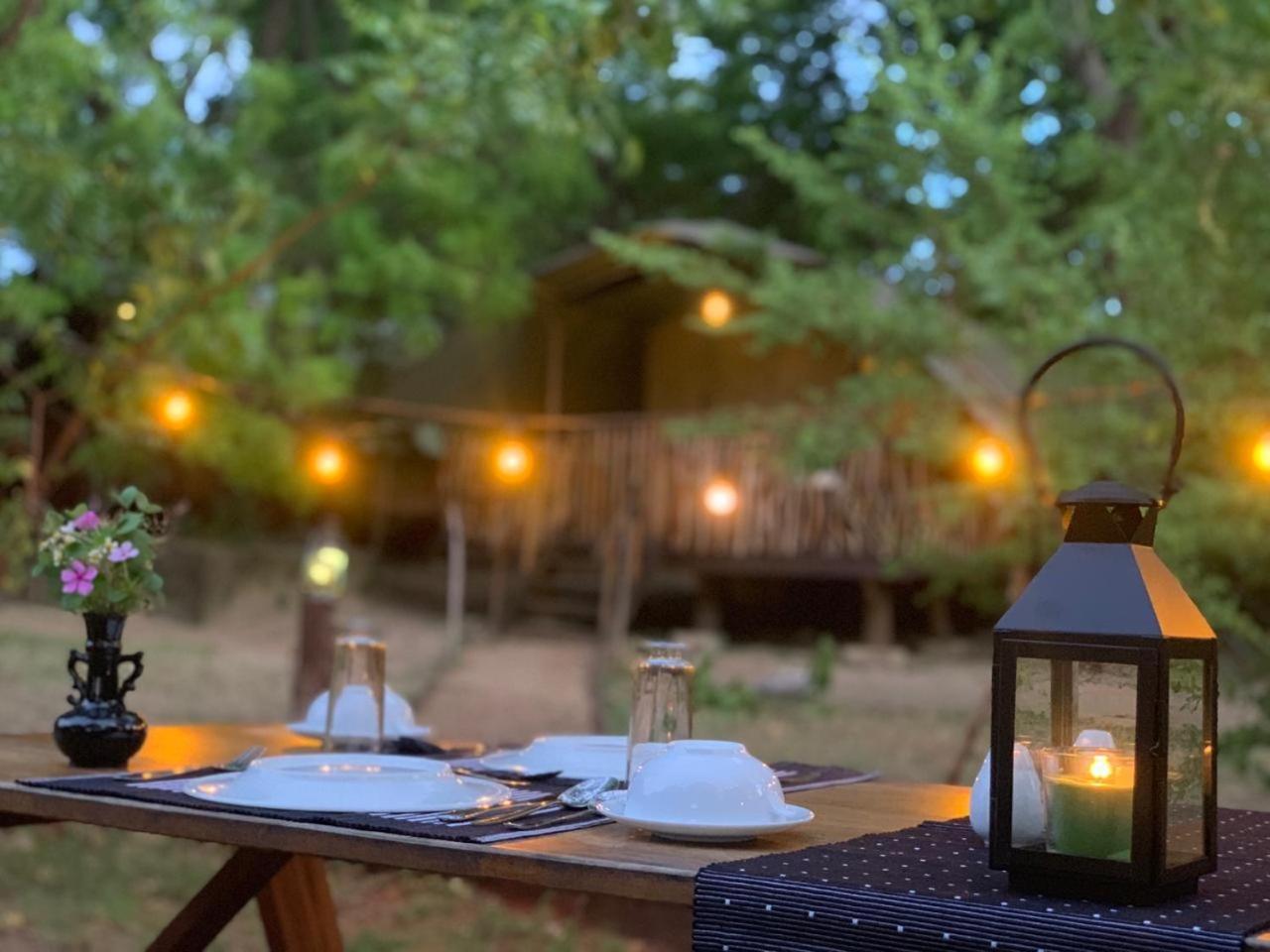 Camp Leopard - Yala Safari Glamping Hotel Ngoại thất bức ảnh