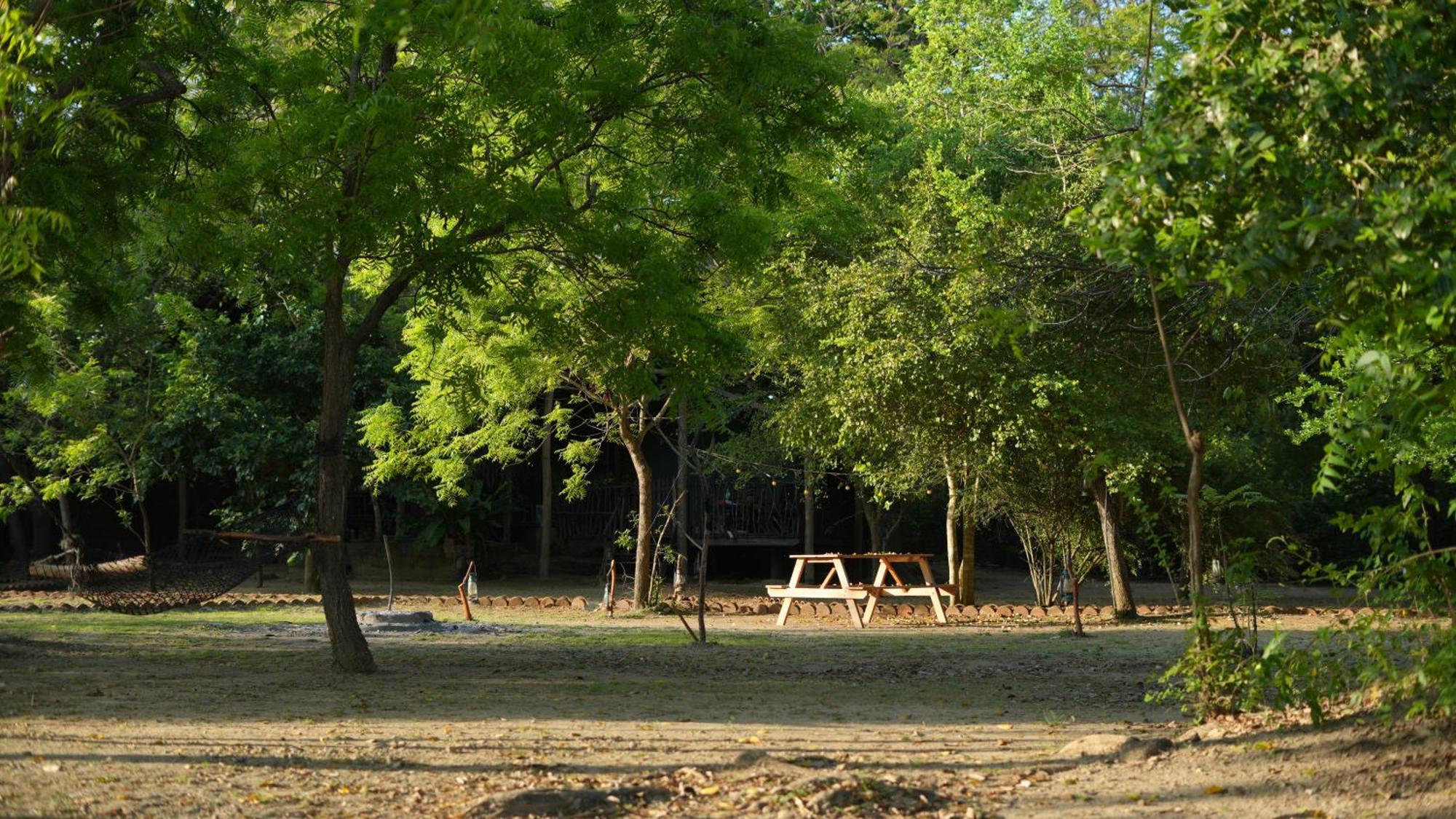 Camp Leopard - Yala Safari Glamping Hotel Ngoại thất bức ảnh