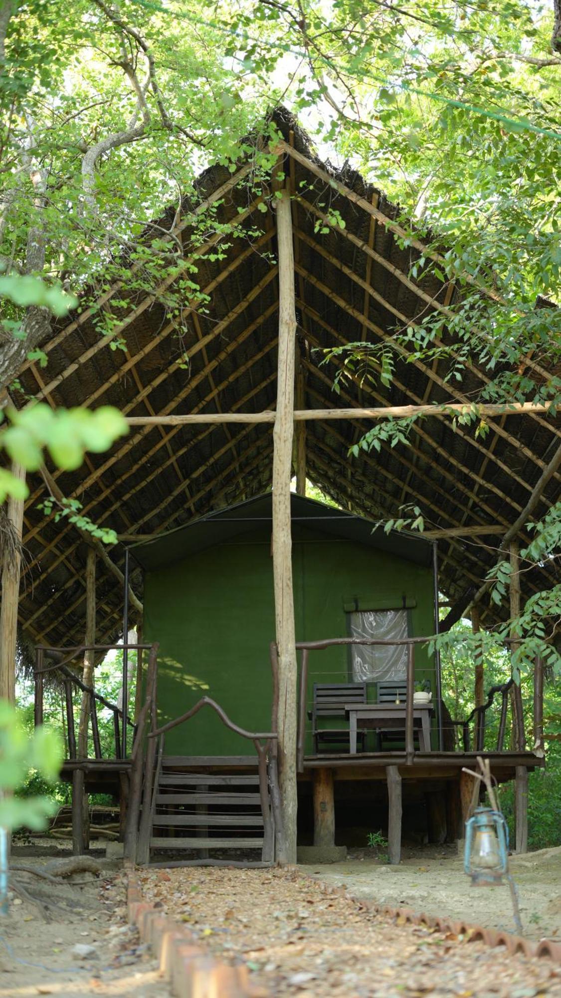 Camp Leopard - Yala Safari Glamping Hotel Ngoại thất bức ảnh