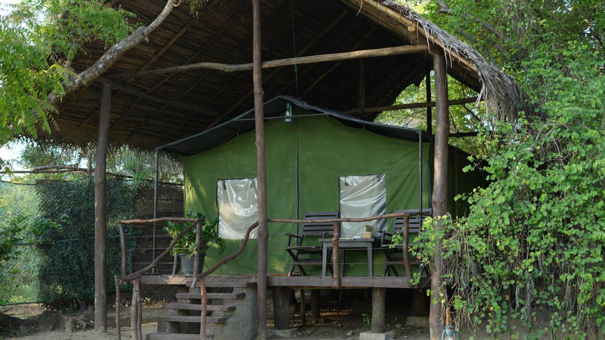 Camp Leopard - Yala Safari Glamping Hotel Ngoại thất bức ảnh