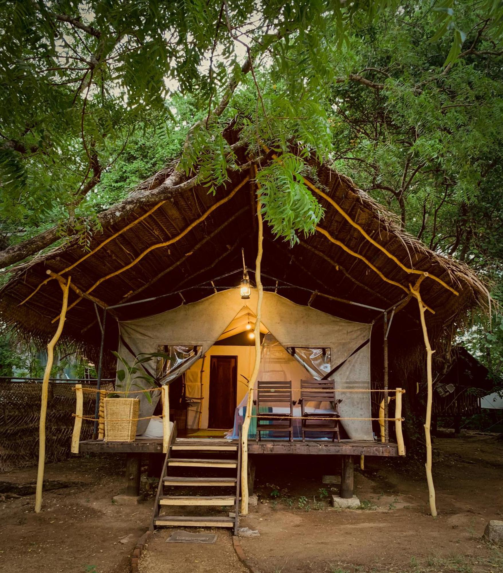 Camp Leopard - Yala Safari Glamping Hotel Ngoại thất bức ảnh