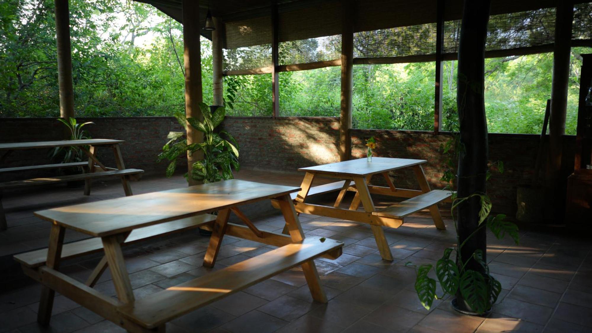 Camp Leopard - Yala Safari Glamping Hotel Ngoại thất bức ảnh